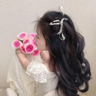 苍蝇之母